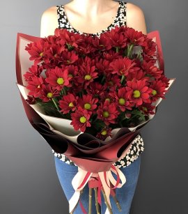 11 Red Spray Chrysanthemum (design)