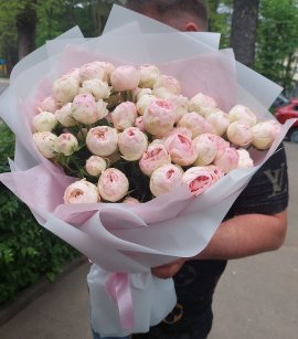 13 stems Peony Roses Manfield Park (design)