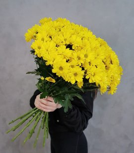 Yellow Spray Chrysanthemum
