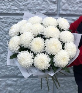 17 Chrysanthemum Antonov (design)