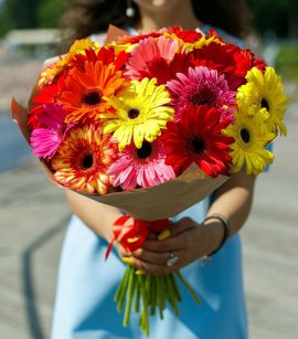 21 Gerbera Mix #2 (design)