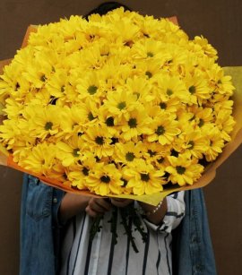 Yellow Spray Chrysanthemum (design pack)