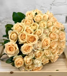 51 роза Avalanche Peach #1