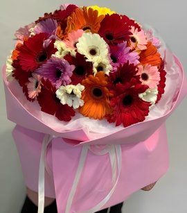 51 Mix Gerbera #1 (design)