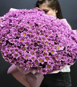 Purple Spray Chrysanthemum (design pack)
