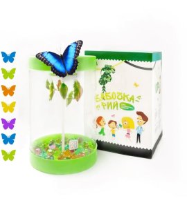 Butterfly Grow Kit Exclusive