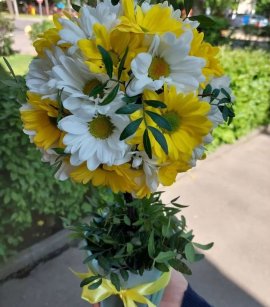 Chrysanthemum Topiary #2