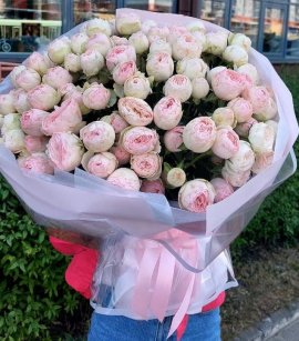 31 stems Peony Roses Manfield Park (design)