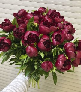Red Peonies