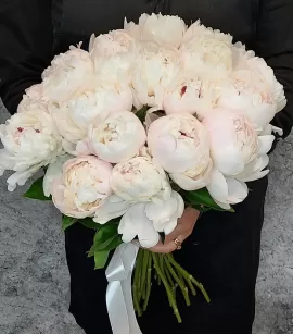 White Peonies